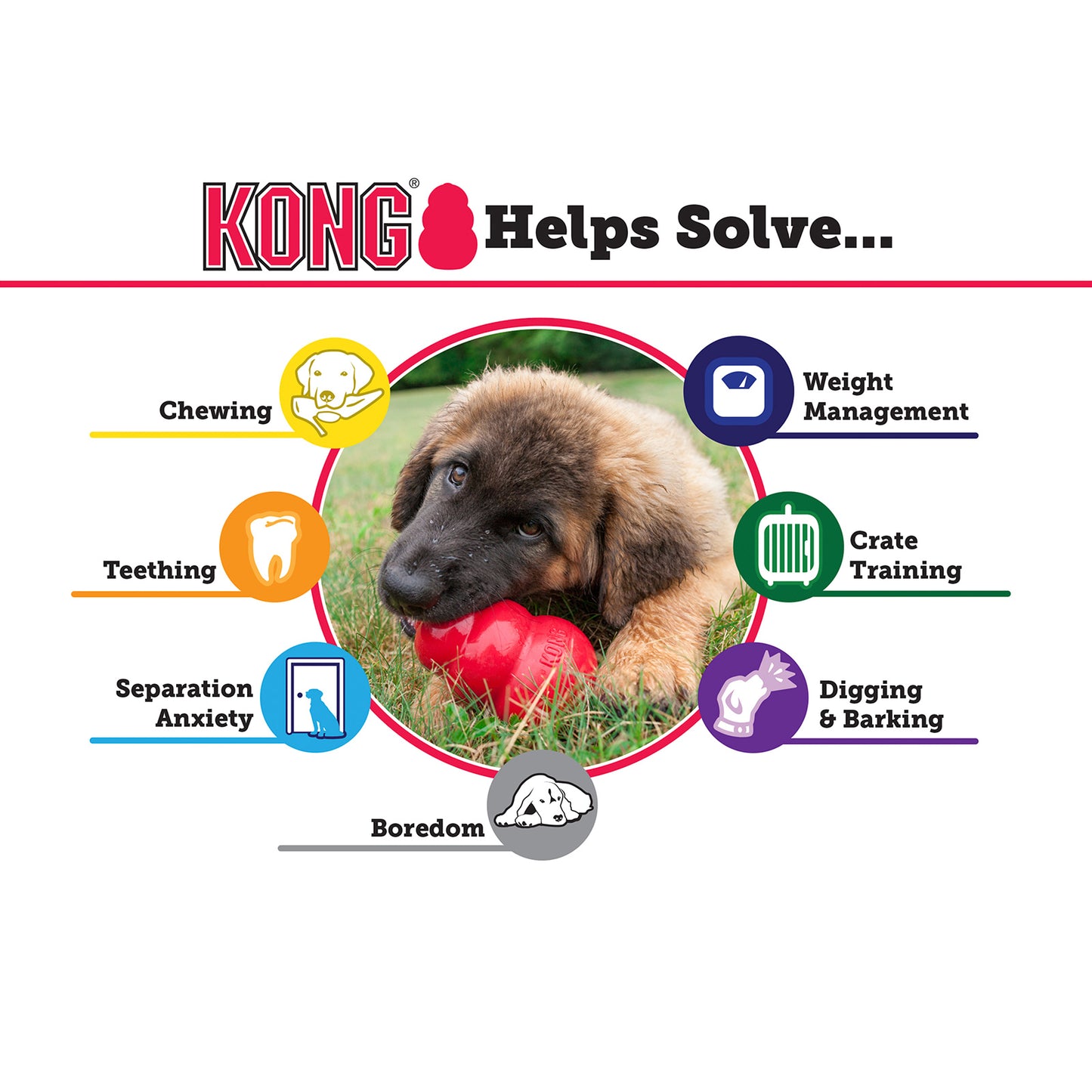 KONG Dog Senior Medium