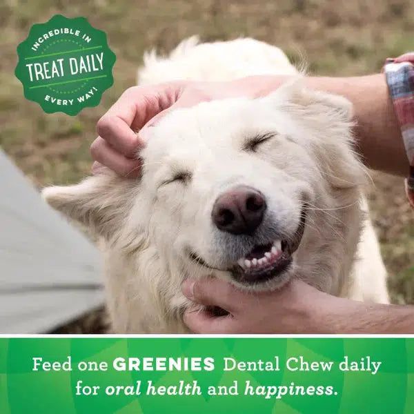 Greenies Dog Blueberry Treat Pack Regular 340 g