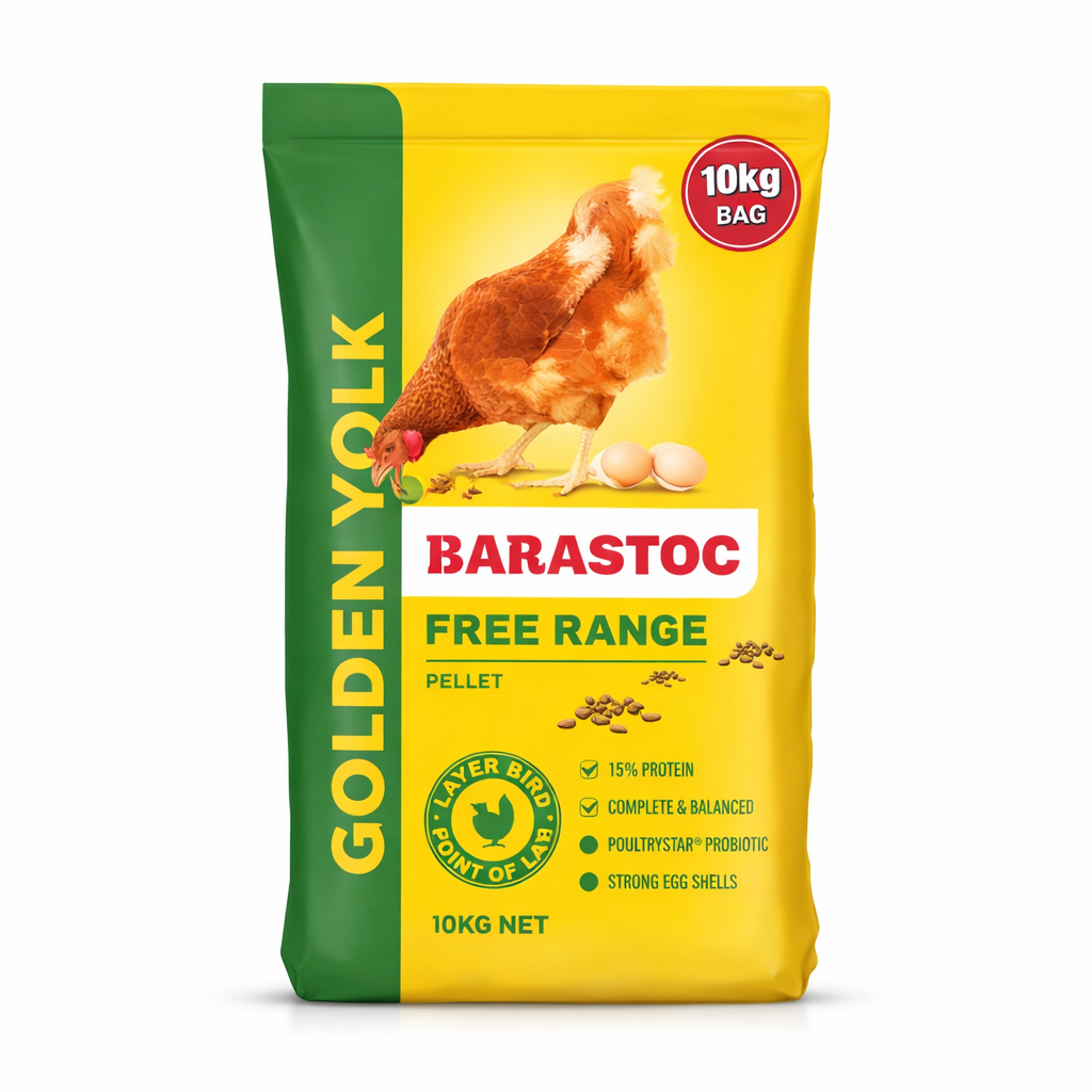 Backyard Chicken Feeding Guide Australia