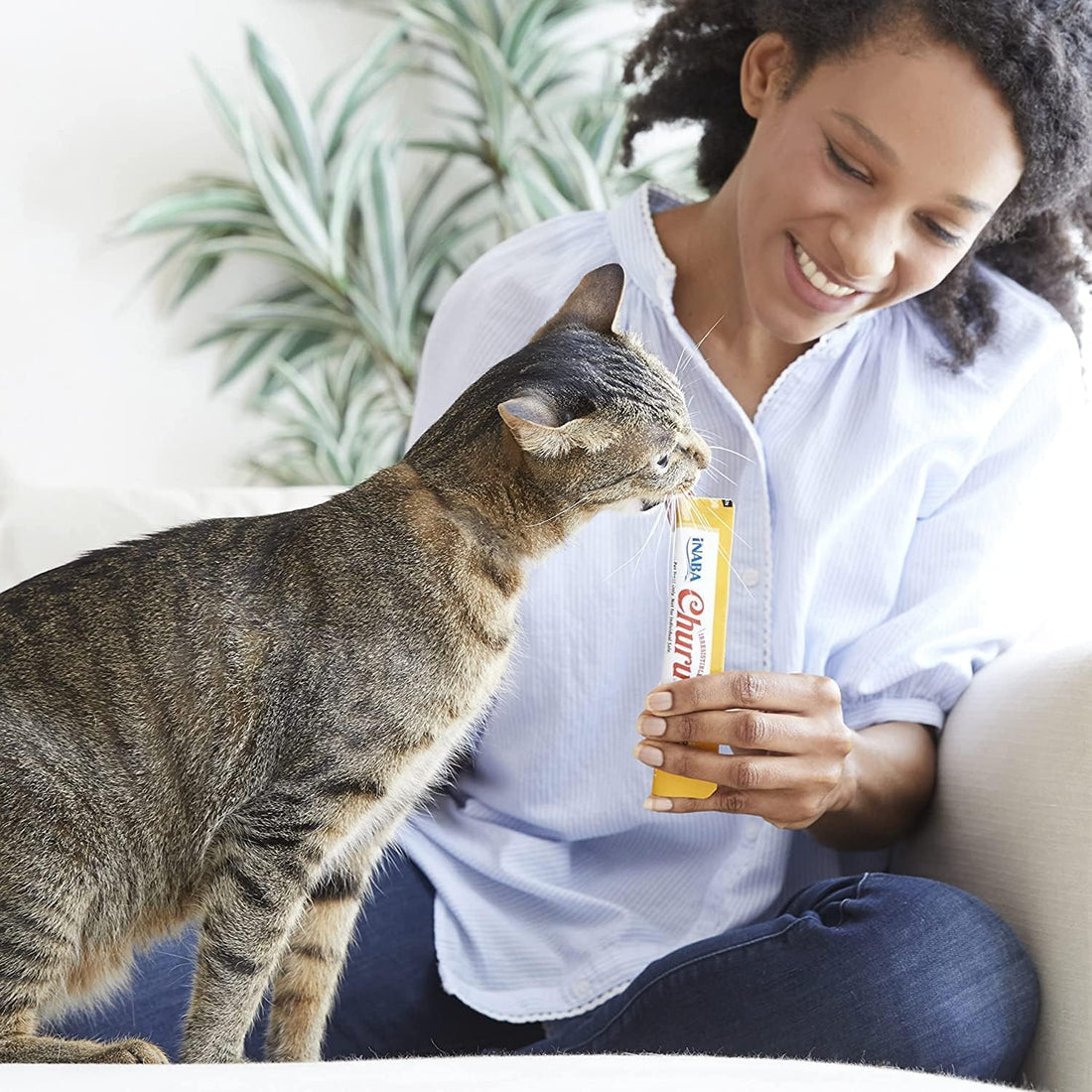 best-cat-treats-for-hydration