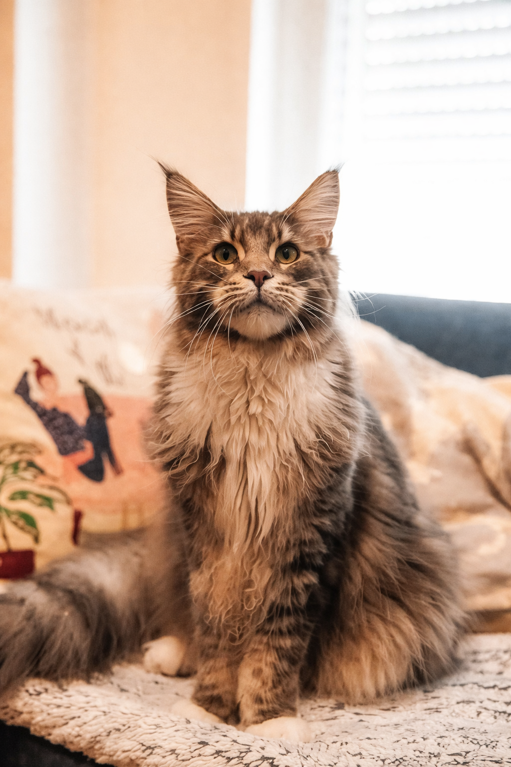 Healthy Cat Snacks Australia