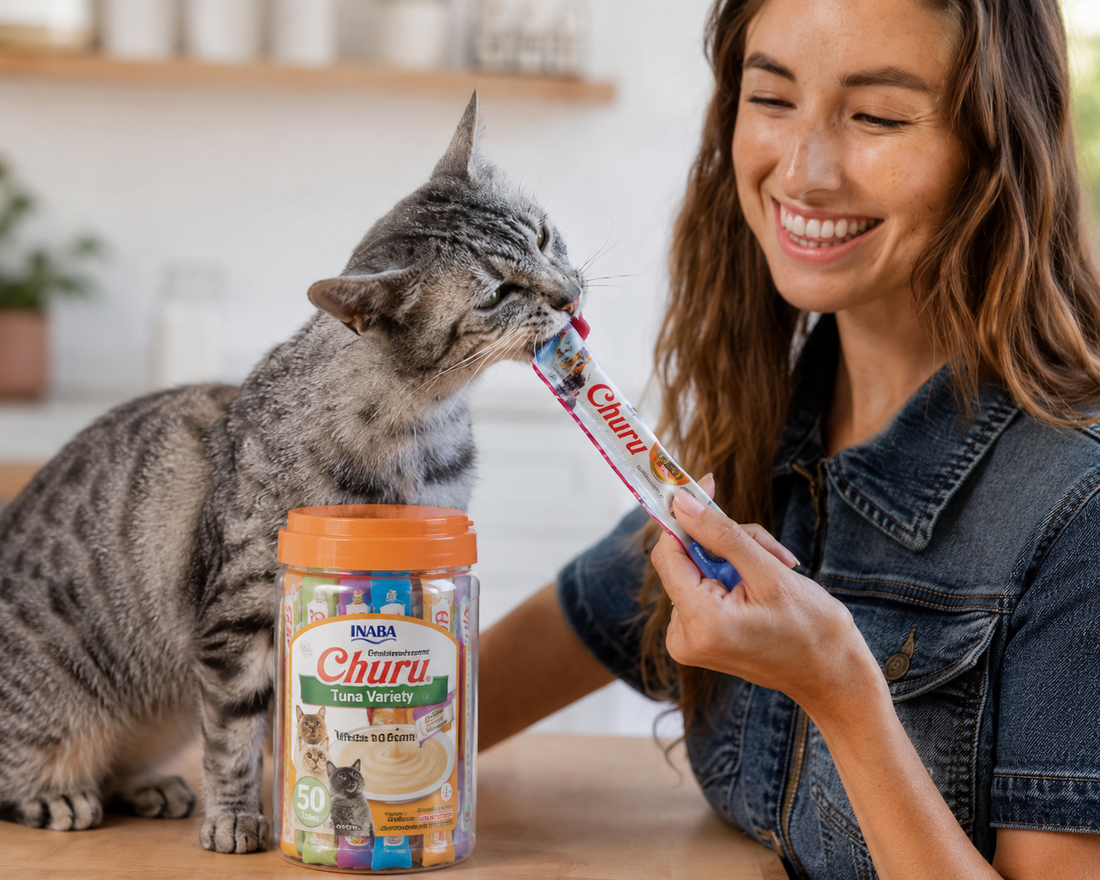 Cat enjoying an Inaba Churu lickable cat treat from a tube with an Inaba Churu variety tub on a table.