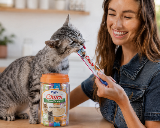 Cat enjoying an Inaba Churu lickable cat treat from a tube with an Inaba Churu variety tub on a table.