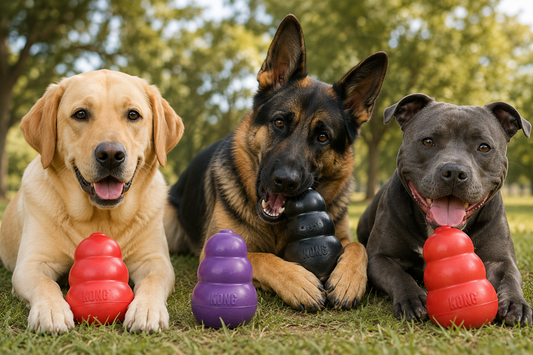 How to Stop Dog Boredom with KONG Toys Australia