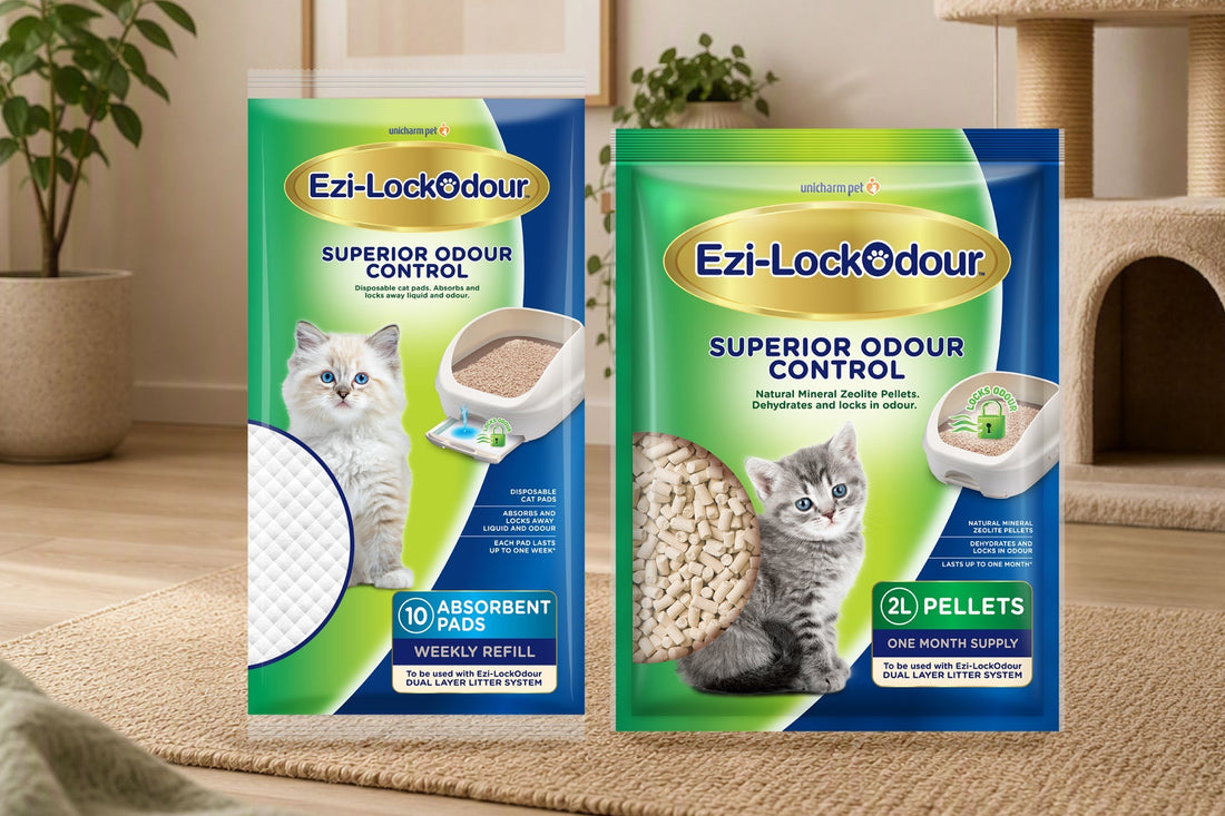 Best Odour Control Cat Litter Australia