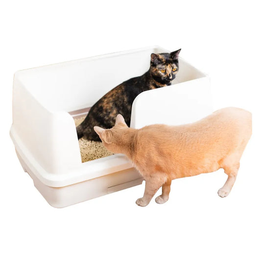 Best Cat Litter for Large Cats and Multi-Cat Homes
