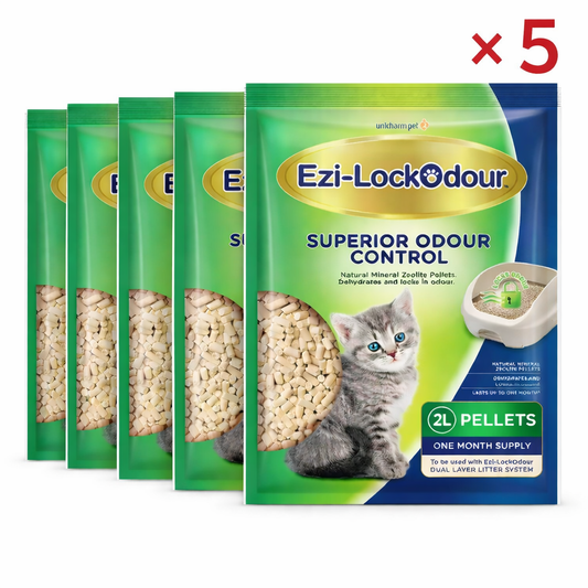 Indoor cat beside a dual-layer litter system containing natural mineral zeolite pellets ready for routine replacement.