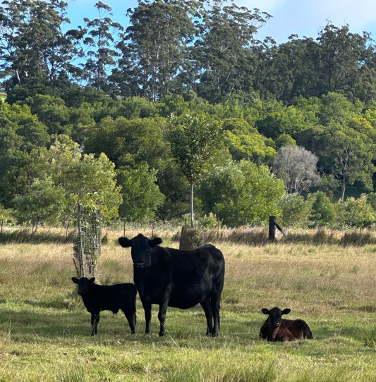 Livestock health and farm management products for Australian rural farms