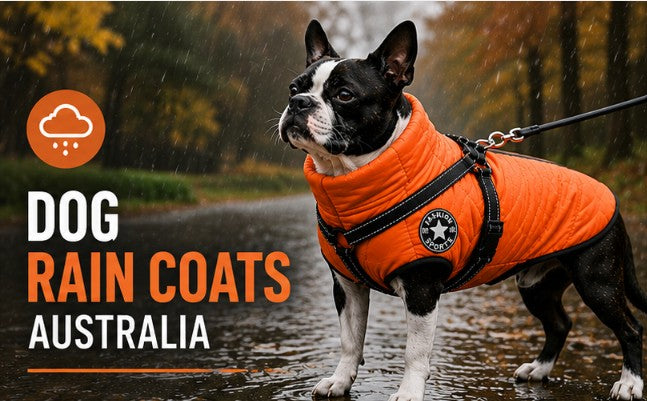 Dog rain coats Australia for wet weather walks and outdoor protection