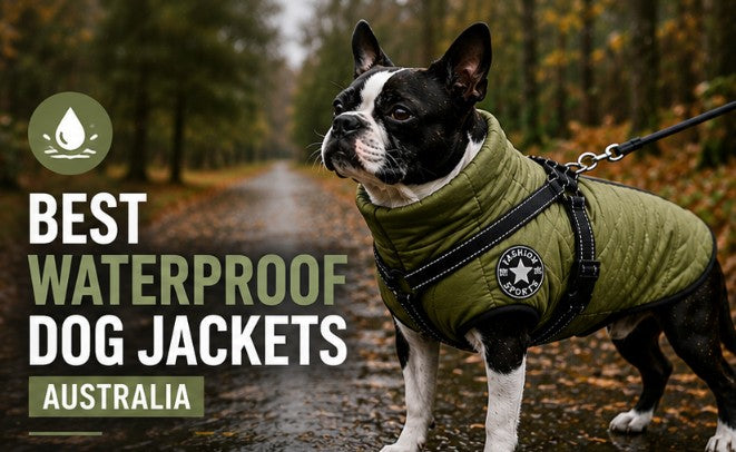 Waterproof Dog Jackets For Winter Walks
