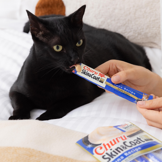 cat licking inaba churu out of owners hand 