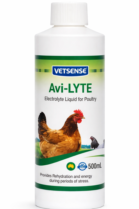 Healthy backyard chickens with Avi-LYTE electrolyte supplement and chicken drinker during Australian summer