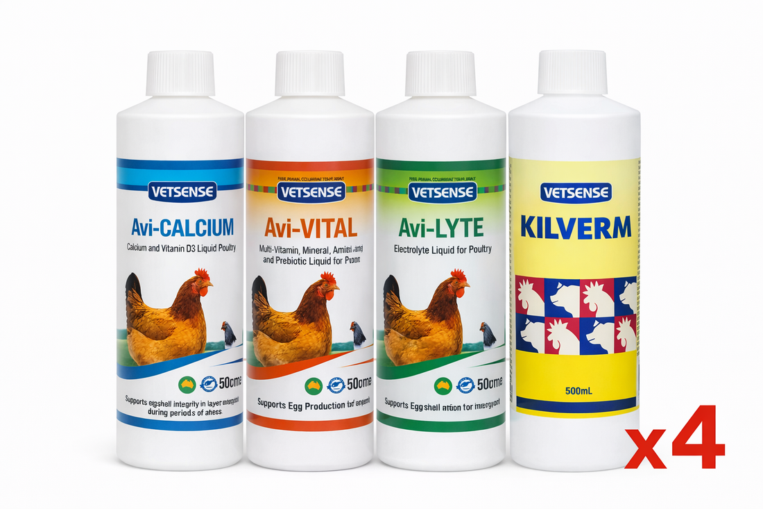 chicken first aid