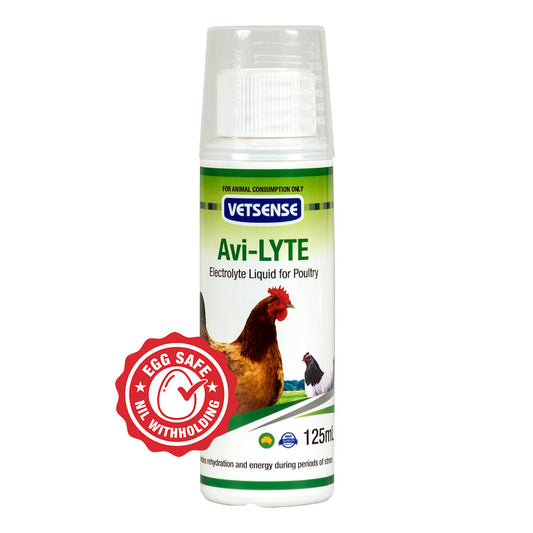 Vetsense Avi-LYTE electrolyte supplement beside a healthy backyard chicken in Australia