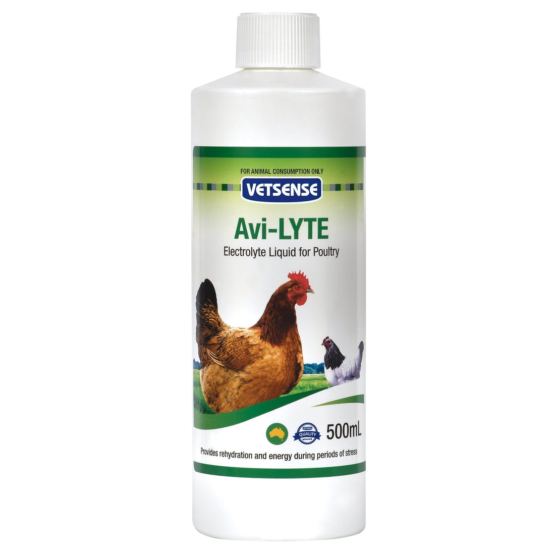 How To Keep Backyard Chickens Cool In Summer Australia