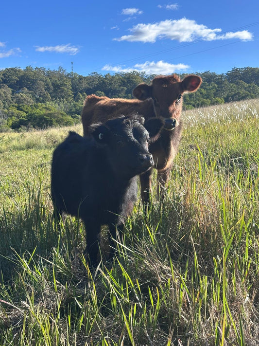 Rural Animal Hygiene Essentials Australia