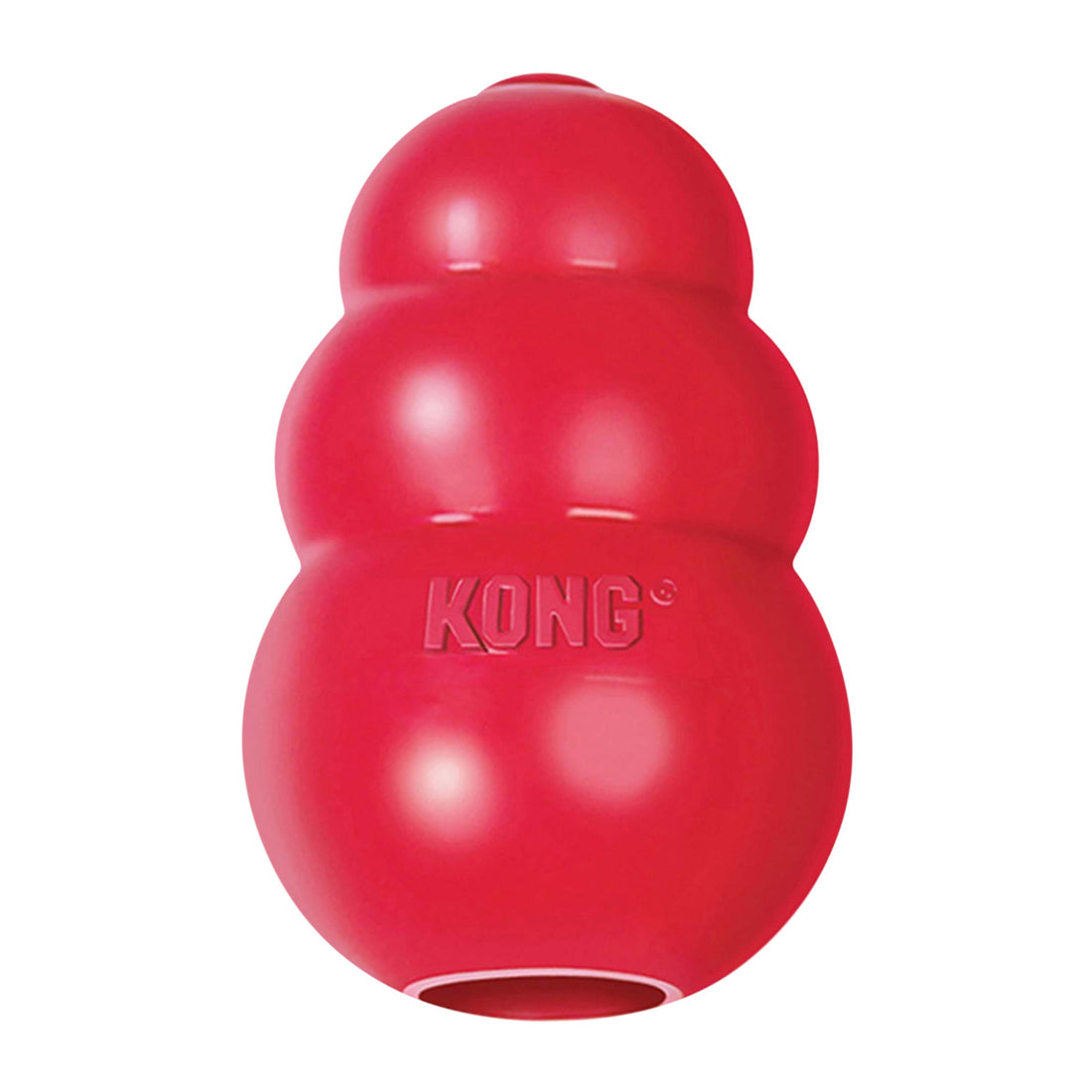 KONG Classic vs KONG Extreme dog toys comparison for large dogs and aggressive chewers