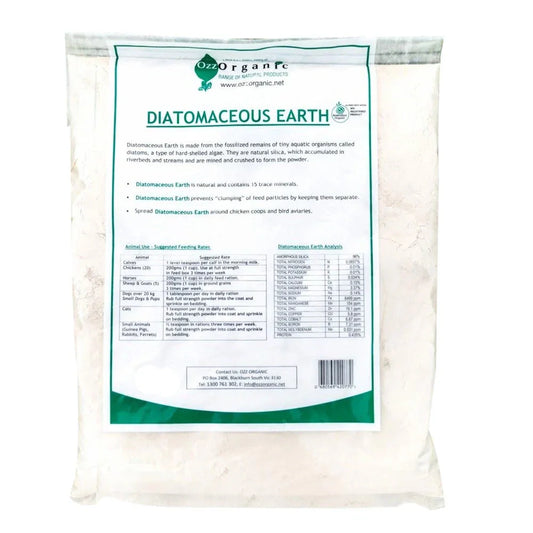 Pestene Insect Powder and Diatomaceous Earth beside a healthy backyard chicken in Australia