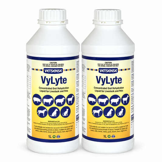 Vetsense Vylyte 1L 2 Pack oral rehydration liquid for livestock