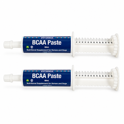 Vetsense BCAA Paste 60mL 2 Pack horse supplement