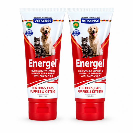 Vetsense Energel 200g 2 Pack dog and cat supplement
