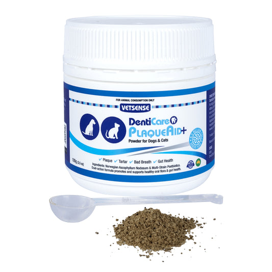 Vetsense DentiCare 100 g PlaqueAid+ Oral and Gastrointestinal Supplement Powder for Cats and Dogs