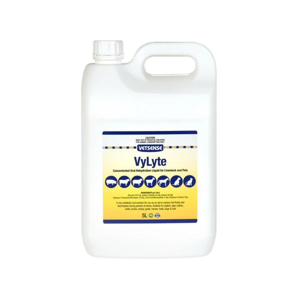 Vetsense Vylyte Oral Rehydration Liquid 5L