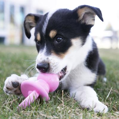 KONG Puppy Binkie Medium Teething Rubber Treats
