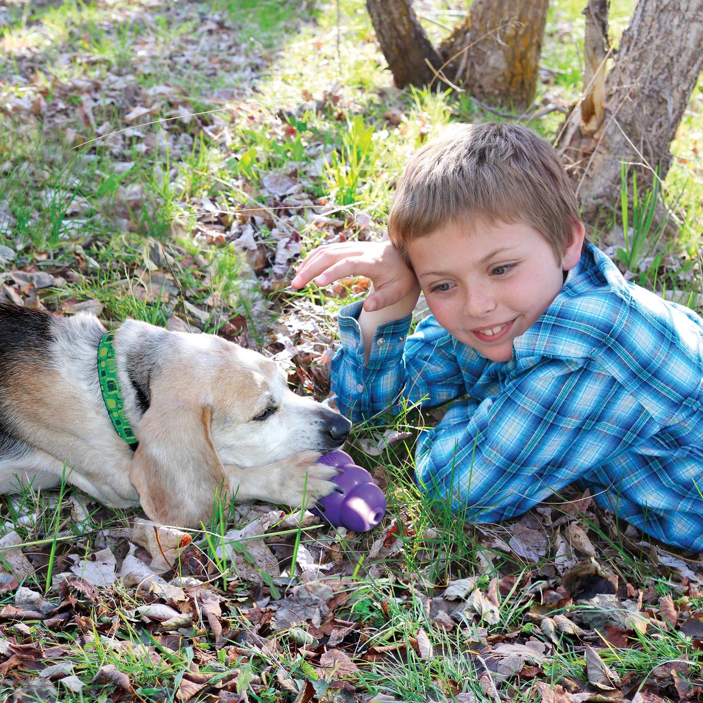 2 x KONG Dog Senior Large