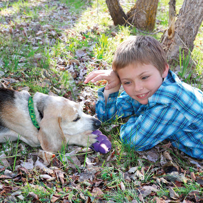 2 x KONG Dog Senior Large