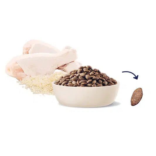 ADVANCE Puppy Large Breed Chicken with Rice