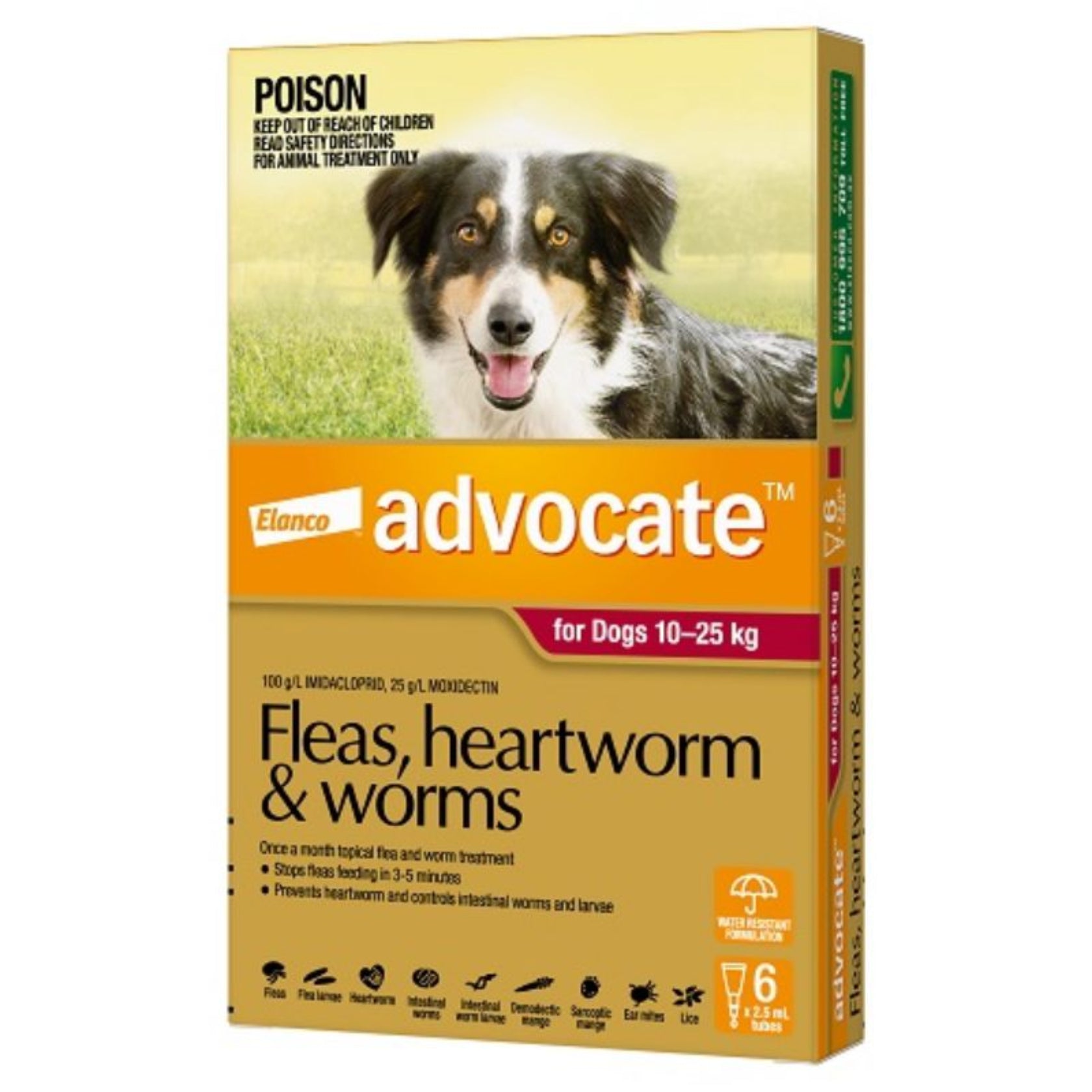 Advocate Dog 10-25kg Large 6's Red