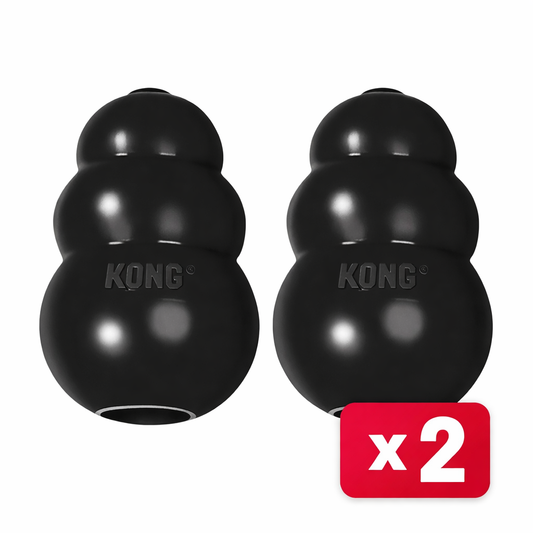2 x KONG Dog Extreme Small