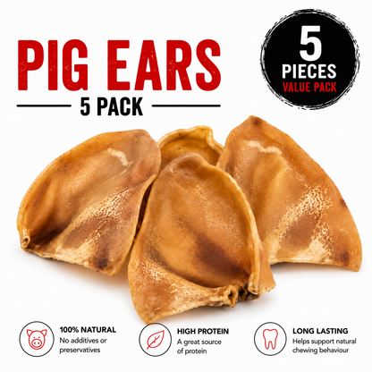 Blackdog Pig Ears 5 Pack | Natural Long Lasting Dog Chews