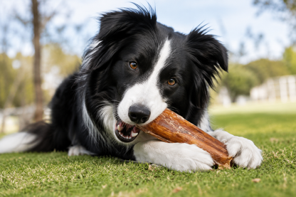 Blackdog Beef Tendons 15 Pack | Premium Natural Long Lasting Dog Chews