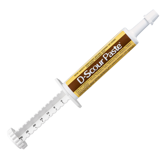 IAH D Scour Paste 30G