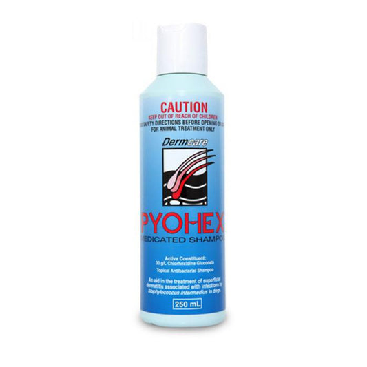 Dermcare Pyohex Shampoo 250ml for dogs and cats Australia