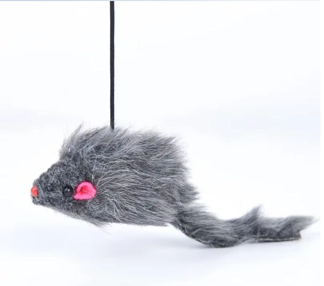 Door Hanging Retractable Mouse Toy
