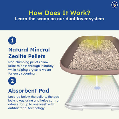 Ezi-LockOdour Hooded Dual Layer Cat Litter System