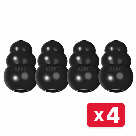 4 x KONG Dog Extreme Small