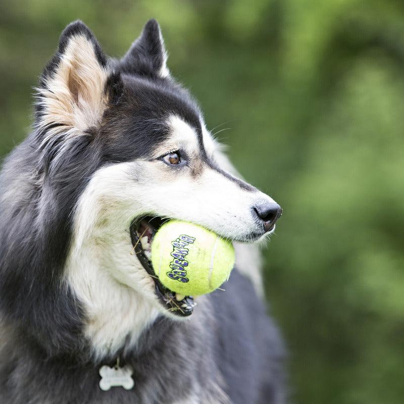 KONG AirDog Squeaker Balls Large