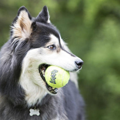 KONG AirDog Squeaker Balls Large
