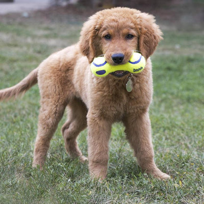 KONG AirDog Squeaker Dumbbell Medium