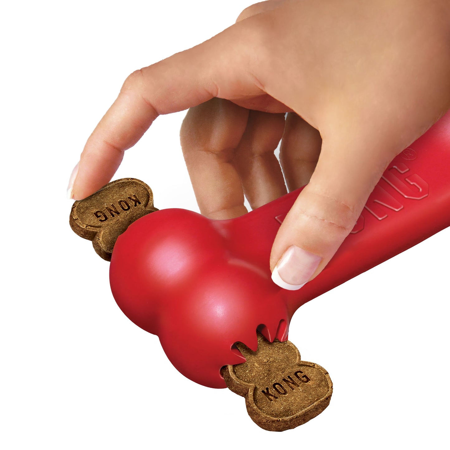 KONG Goodie Bone Small