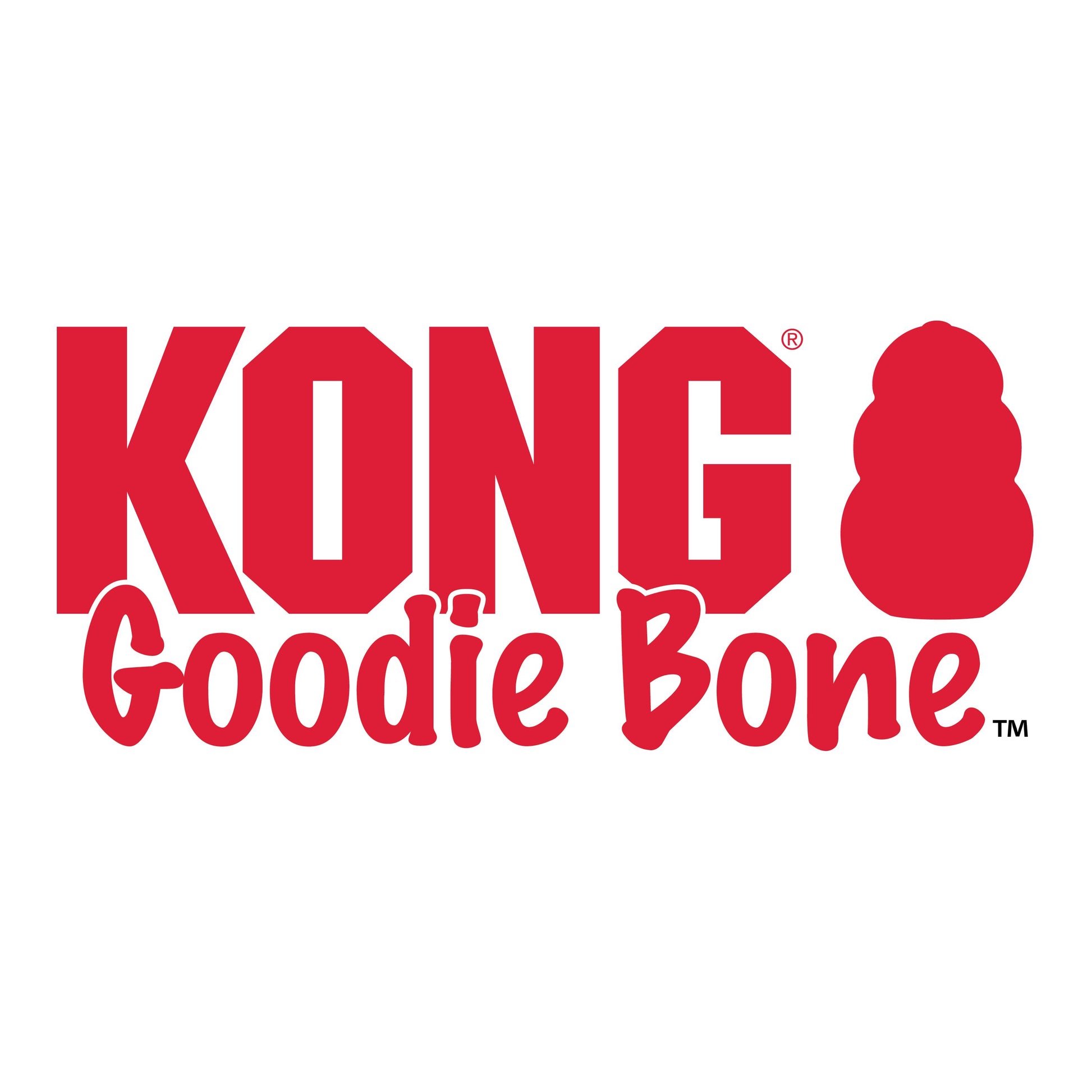 KONG Goodie Bone Small