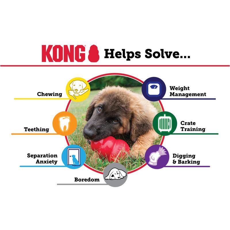 KONG Puppy Medium
