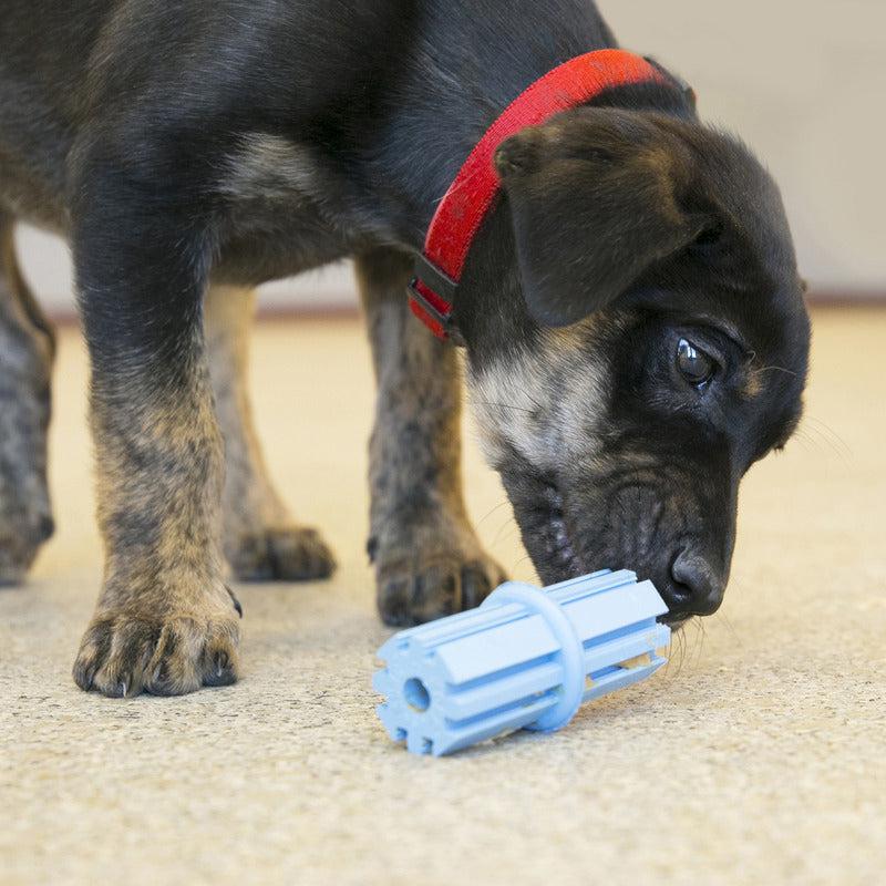 KONG Puppy Teething Stick Large