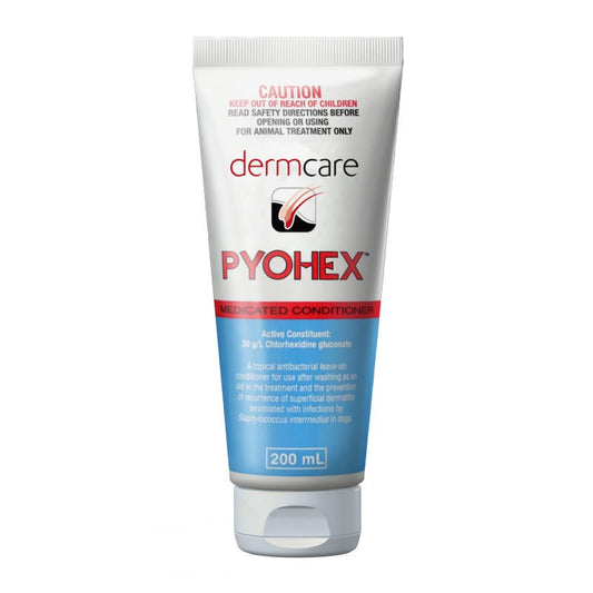 Dermcare Pyohex Conditioner 200ml for dogs and cats Australia