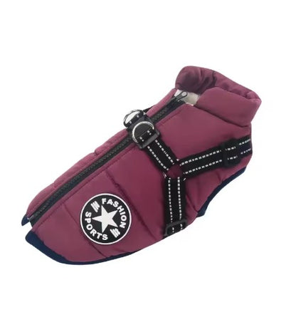 Waterproof Dog Jacket With Harness
