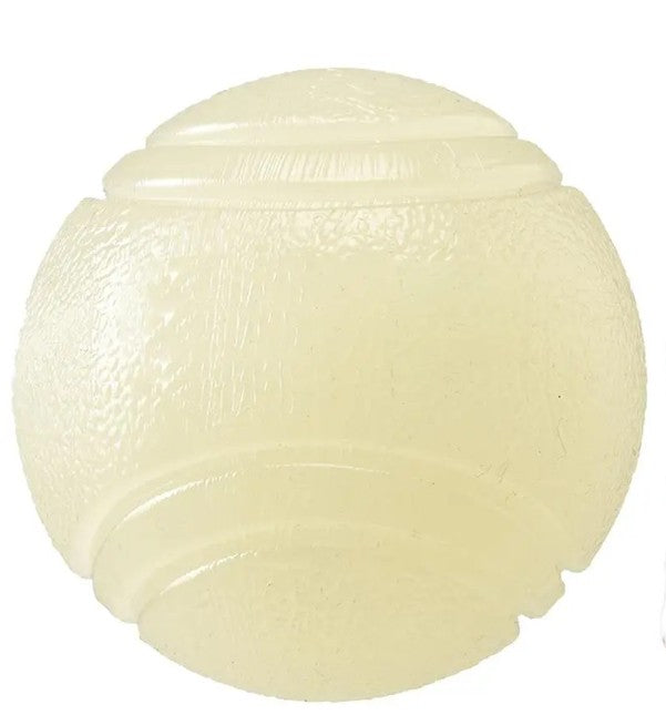 Glow in the dark Bouncing Dog Ball